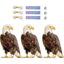 ffffffffffcffe1ff61ffffffffffff79cf38421842184208430eb558842ffff000000000018a4000000000c00121500