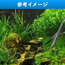 ffffffffffff801f8013ac64613151c00202280648a280049934403222de1454929292923a3a554643444449392a2f40