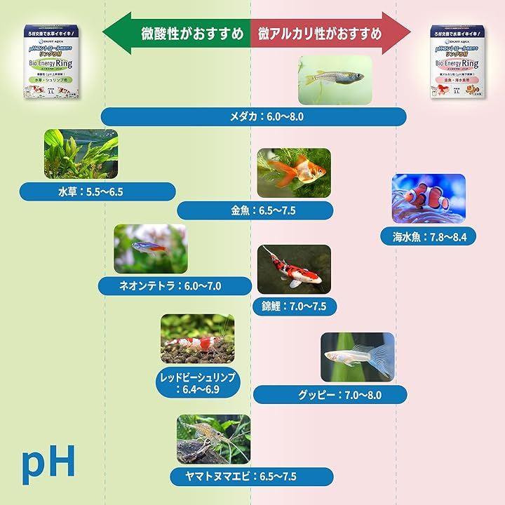 ffff9668bfffffcef007cf9fa399fffbf39ff89ffc9ffce7f8e7fffffcffbd5f3636f8fc367d9092369cfdfc3636fc55