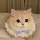 0000000000000000040807f8e7fcc7ffcecfdeff9fbf9fffdffeeffdfbfbfbc3191a18181717180f1816181515161a18