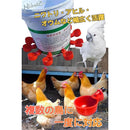 ffffffffefe9e87fe2df9b8b039f020e000000810181301e30a07fe27fc01fe2889c9c00006d9700eb641c07c71b22fc