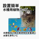 ffffffffc2ffc281c891ffc1ffe1ff81f001f001f001f001f001f0e1f0c1ffff0000000000000020008d8c04008b8ddd