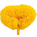 fffffffffffffffff007e003c001c001c003e007f007f81fff7fff7fffffffff0000000000252424001c111f00001f00