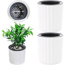 fffff3e0e1ffc0ffc4fffffff7ffe0ff80ffd1c3c1ffe3ffe1ffffffffffffff0000000000a000000048000000100000