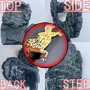 ffffd38df38f83d1934180c181f1c7c7f783f7a3f0e18051910191858011a90dfe98979e9995ab869ab32000ab960095