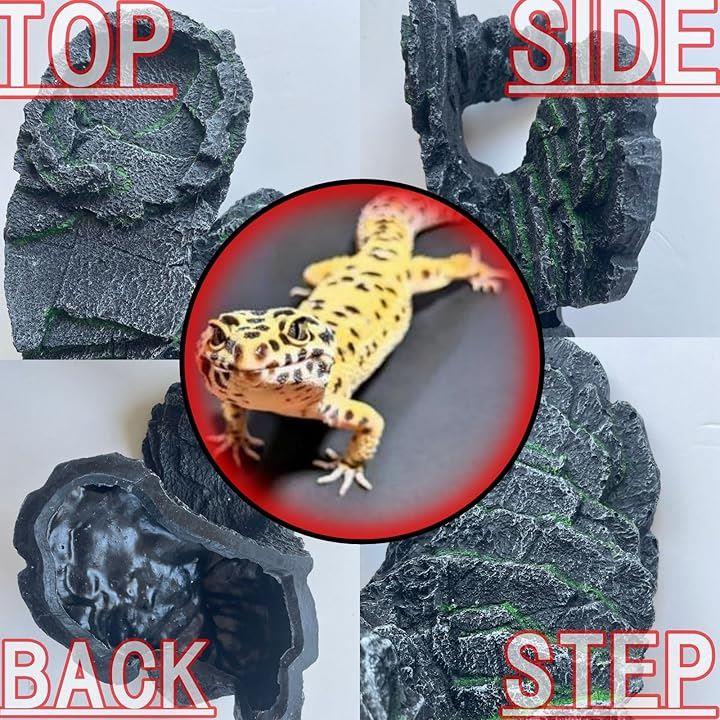 ffffd38df38f83d1934180c181f1c7c7f783f7a3f0e18051910191858011a90dfe98979e9995ab869ab32000ab960095