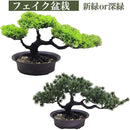 ffffc022e3ffe0ff8e3fdb07f64fc0ffe1ffe1fffe1ffc07f921ff99fe1ffe1f00000000000037000009000000004172