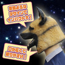 00001f005f807fb06d983fec22ce017702ed003f013f391b7a17739e5f1c03189ea5a0a0a0fd2649a09a191d9f121e15