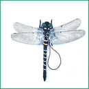 00007fff7fff7fff7ffd772b7d3b7e0f7c7f7f3f7f7f7fff7f7f7f7f7f7f7fff7272727272003d00720026d572009f00