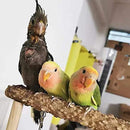 ffe0fbe0f3f0f7f0f7f2f3b9e3dce1cee3c8e548e1008020c817f104fa00bb07