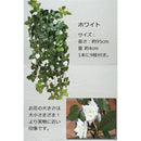 dfffccff8dff80ff80ffc1ffc0ffc9ffccffb0ffe3fff9ffff38cb1c8b20ff207275757572413d3ceb4a5e755e4e0e89