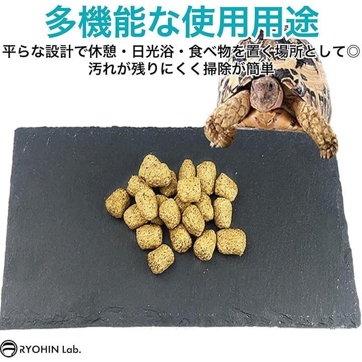 fffff497ffe7f5c7ffc3ffc98001800180618600826080e0810080008000ffff00000000000000e100931c9300909293