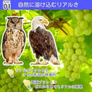 ffffffff17004b012b88ce187c5b0cc06044383a234e3bf014f92de006000574a9a9a9a93a2b1c303a13153039333032