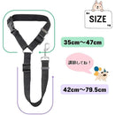 fffffffdffff80fb9effadffa181fbfff4fff6fff6fff6fff7fff7fff9ffffff000000000000000000b300f7009200b8