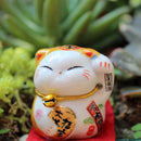 58a518d2188a08038000b001f7f7fffffffdeff8c7e0ac780df00ee0066006402d40664152424843322f94122c8c08fe