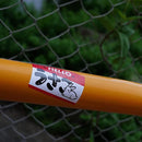 3e00a80001100080440224000044f000ff81ffff34ff01bf8001000402002000