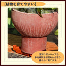 00004fff41034cbd4fdf6ffd47fd40614021400141f161fd61e168fd40d57fff010101010109060a01460609010c0612