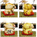 ffffef9f8cf79ca283a083eb80808080ffffffff9c989c9aedc790908080808000000000001f001c00000000001f0023