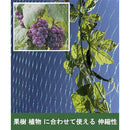 807f3abf77b37b07683f603220e90043008f0407014f0007025b882100007ff7