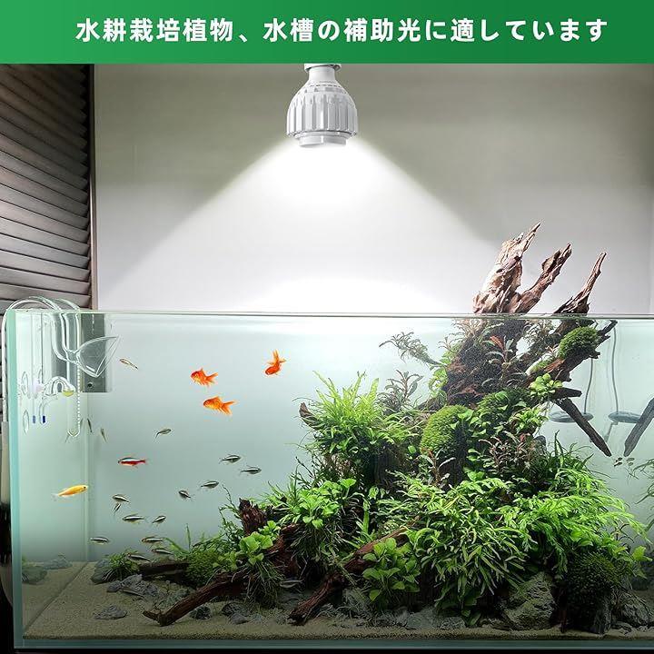 00001600009803fe8fff9fffdfffffffdffc7fe57f117f075f017c2000000000646566660031002b1979002e4c71403d