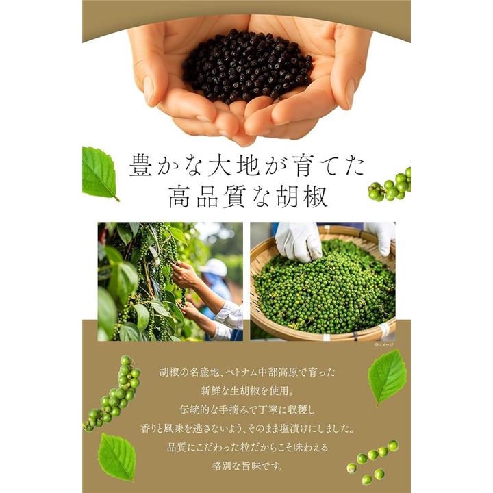 0000307cf00be017ff8f2fff3feeffff80a0848ad580601c220840000a2001801c1c1c1c00001300003c003d1c1c1f1a