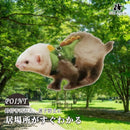 40f02453001100a000f547b8cefd1f383e001600008040c0802cffff0f006ff04e3a3a404e412f403f1715163b613637