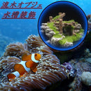 ffff9e83ff01f671fe7cff60ff07f97a5880cf00a3c0eda04587500f1c016004918d8d8b92938937909a7ca42414f5af