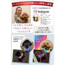 ffffd41cdfd5c7f9c1ffc19ffdf7ffe1fffe9fabfd8df810f0008081818181812222222222151a002280001c9217131e