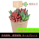 ffffffffffcffffffe3ffc0ff80ff007f00ff81ff81ff81ff800fc200000000000000000000000000015046b00004444