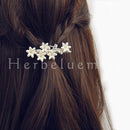 001f001f001f001f001f000f0b8f0c0f016f0027000700070007000700070007c1e10a00b1b108ebbdb2cc0eb5b20610