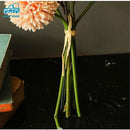 ffffffabfe9fffbb84e3c081808480c080400040800000800000c1800100010000000000261420254a334b322b321c2b