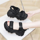 fffffffffffff0fff0ffe01fe00ffa1fff3fc37fc37fc33fe01ff03ffe2fffdfab141a1919eb151a00b3f51500b3ab00