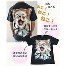 fffff1f7c057cc5f8c3f9265c87fd17eec7fe001f404fef3ffa5f749ff19ff011b1b1b1b1b309b1b1bab09d51be41e86