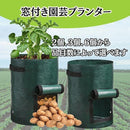 ffffee7ff6ffeaffe3ffecf7f0fbc5ffc083c083c083c2014080c10286834ee339393939924284869076907848711922