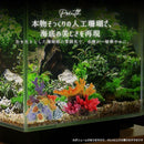 00000000000065f8aff014001c201c11dd9a7fc0fde53f007ff8ffa03d010001000000003748474628323a291009fa1a