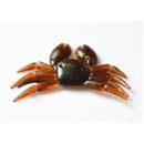 fffffffffffffffffffffffffe1ffe1ff107f003e803f3e3fffbffffffffffff00000000000000ab0012141000ab00ab