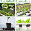 ffffb0d380f8848490a08380808480f3a1cefbfffffcff91f3fff380d3ff82df0000000000348024003740ab00134e4e