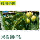 ffff81ff83ffffffffff981880008005c010c000c000c000ffffffff89ffffff0000000000809997004836530080989c