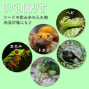 fffffffffff1ef68afeefee0fc87fc1fc419882a83e282008113fd1ffe1ffeff575757575757572f5736103157291a2b