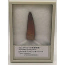 ffff80019ff99cf99c799c7998399839983998399c219839b3f9bff98003ffff