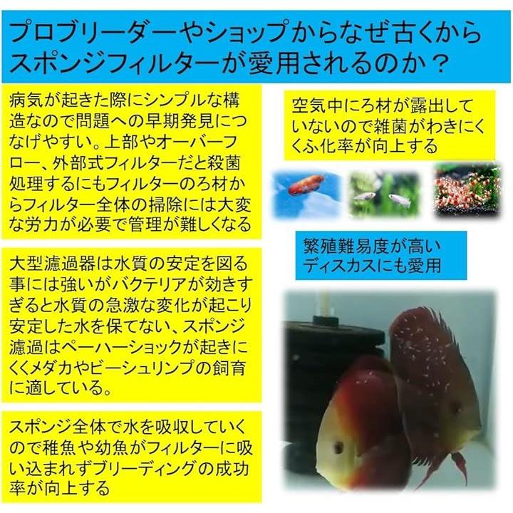 ffff80008080d7ffaff5feffffb7fbffd9c1fffffb80ff80ef80fb80ff80dfe700000000002a2b00002e2b8b002b2b06