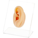 ffffffffffffff7ffe3ffe3ffe1ffc1fec1bfc1ffe3fff7fffdffffffdffffef000000000000180000001300002b2b00