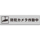 ffffffffffffffffffffffffffff800080008000ffffffffffffffffffffffff00000000000000000000fb0900000000