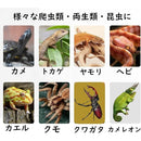 ffffecf388f88d9888c88a8888f8f9fdffff888e888988898a8bbfffffffffff00000000000000000000000000000000