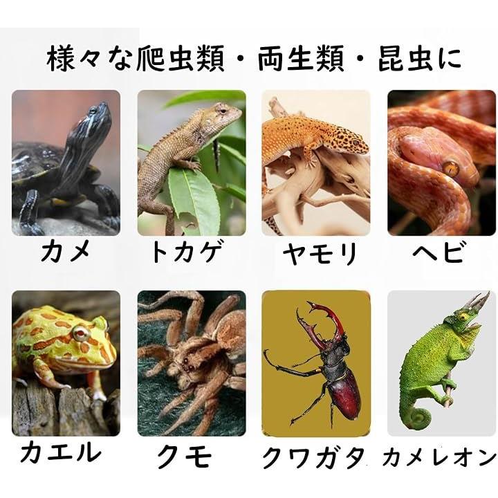 ffffecf388f88d9888c88a8888f8f9fdffff888e888988898a8bbfffffffffff00000000000000000000000000000000