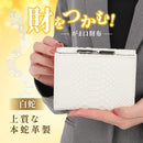 de00fe00fe08fe00fe00fc00f107f1fff1fff1fff9ffc3ffc7ffff08ff00fe002526e4ab2323f2eb20091e1e221a1714