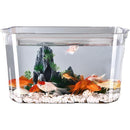 ffffffffffffffffffffc003c001c441c001c003d003d201ef55ffffffffffff000000000000000000999e9f000b090b