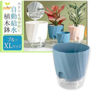 fffff100d800d804f800f386fb82c382c200c7c0ffc0ffc0ffc0ffe1fff1fff30000000000803030008a3d900000008f