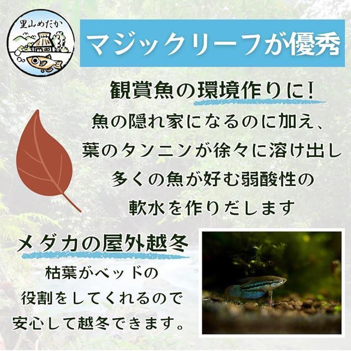 fffff000f326c000ffffffffdfff85a98f75efffffff88c0ffc0ffc0ffc0f5c039555045306b3c361c3d46462b336b29