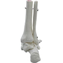 fc3ffc1ffc1ffc3ffc3ffc3ffc3ff83ff83ff01ff00ff01ff01ffc1fff1fff1f